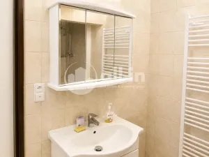 Pronájem bytu 3+1, Vyškov - Brňany, Palánek, 123 m2
