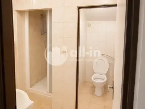 Pronájem bytu 3+1, Vyškov - Brňany, Palánek, 123 m2