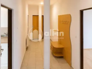 Pronájem bytu 3+1, Vyškov - Brňany, Palánek, 123 m2