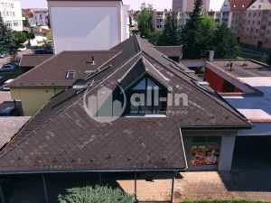 Pronájem bytu 3+1, Vyškov - Brňany, Palánek, 123 m2