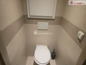 Pronájem bytu 1+1, Kosořice, 40 m2