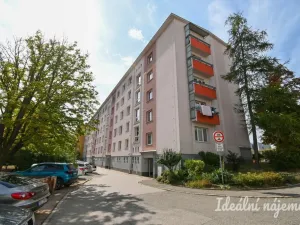 Pronájem bytu 3+1, Brno, Polní, 77 m2