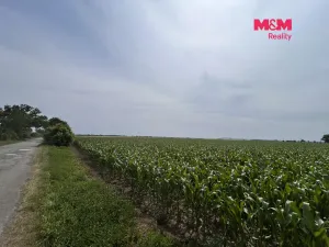 Prodej pole, Prostějov - Žešov, 8491 m2