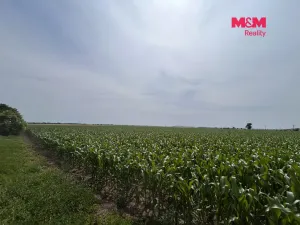 Prodej pole, Prostějov - Žešov, 8491 m2