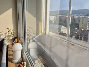 Pronájem bytu 1+kk, Ústí nad Labem - Ústí nad Labem-centrum, Hilarova, 21 m2