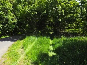 Prodej pozemku pro bydlení, Bor - Boječnice, 1093 m2