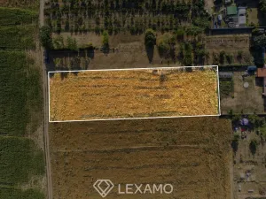 Prodej zahrady, Dyjákovice, 3930 m2