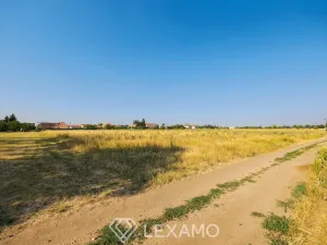 Prodej zahrady, Dyjákovice, 3930 m2