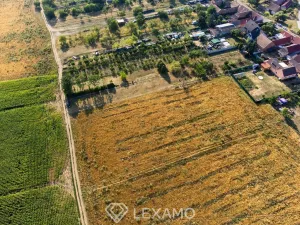 Prodej zahrady, Dyjákovice, 3930 m2