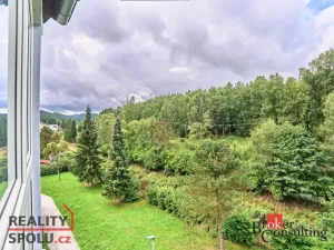 Prodej bytu 3+1, Kraslice, Družstevní, 62 m2
