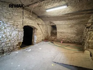 Prodej rodinného domu, Svinaře, Zelená Hora, 500 m2