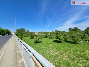 Prodej sadu/vinice, Hořín - Brozánky, 48506 m2