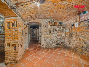 Prodej činžovního domu, Čáslav, Hluboká cesta, 420 m2