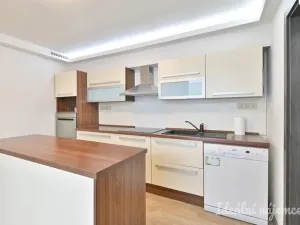 Pronájem bytu 5+kk, Ořechov, Polní, 150 m2