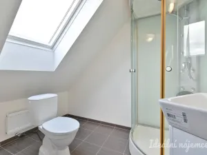 Pronájem bytu 5+kk, Ořechov, Polní, 150 m2