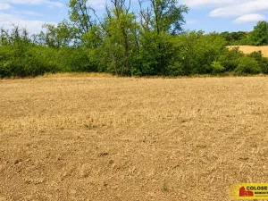 Prodej pole, Dyje, 8295 m2
