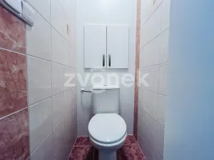 Pronájem bytu 2+1, Zlín, Mlýnská, 52 m2