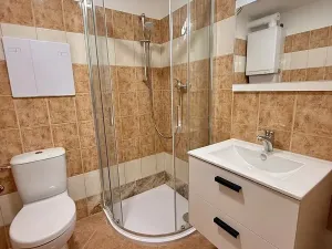 Pronájem bytu 1+kk, Brno, Vavřinecká, 41 m2