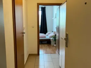 Pronájem bytu 2+kk, Ostrava - Hrabůvka, Provaznická, 49 m2