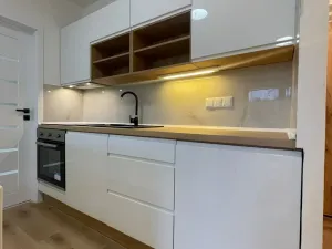 Prodej bytu 2+1, Bílina, Litoměřická, 41 m2