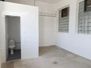 Pronájem výrobních prostor, Bílina, Důlní, 222 m2