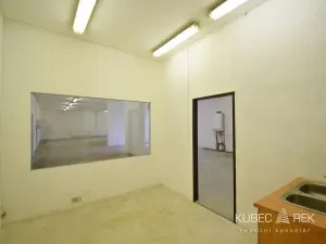 Pronájem skladu, Řípec, 247 m2