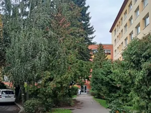Prodej bytu 3+1, Praha, Křivenická, 72 m2