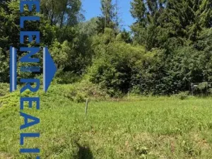 Prodej pozemku pro bydlení, Zlaté Hory - Dolní Údolí, 1787 m2