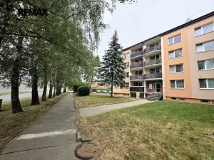 Pronájem bytu 1+kk, Doloplazy, 31 m2