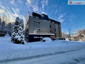 Pronájem bytu 1+kk, Harrachov - Nový Svět, 37 m2