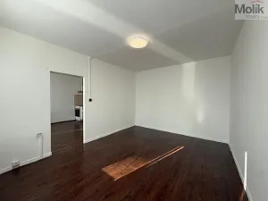 Pronájem bytu 1+1, Litvínov - Horní Litvínov, Mostecká, 35 m2