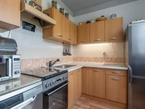 Prodej bytu 2+1, Krupka - Vrchoslav, Dolní, 66 m2