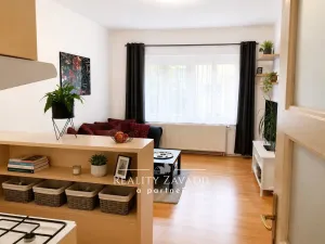 Pronájem bytu 2+kk, Praha - Žižkov, Biskupcova, 47 m2