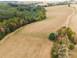 Prodej komerčního pozemku, Pertoltice, 51001 m2