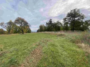 Prodej pozemku, Nová Ves u Mladé Vožice, 2376 m2