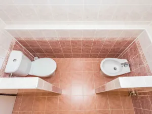 Pronájem bytu 3+1, Bílina - Teplické Předměstí, Čapkova, 56 m2