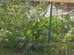 Prodej bytu 2+1, Česká Lípa, 49 m2