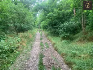 Prodej pozemku, Brodec, 27235 m2