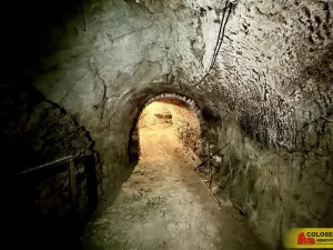 Prodej rodinného domu, Suchohrdly, 100 m2