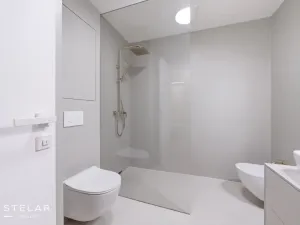 Pronájem bytu 2+kk, Ostrava - Moravská Ostrava, F. X. Riepla, 60 m2