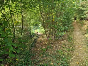 Prodej chaty, Černolice, V Dolečku, 38 m2
