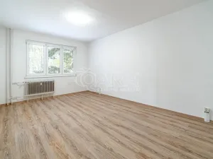 Pronájem bytu 3+1, Kralupy nad Vltavou - Lobeček, Masarykova, 71 m2