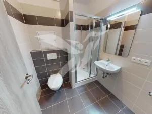 Pronájem bytu 1+kk, Plzeň, Žlutická, 34 m2