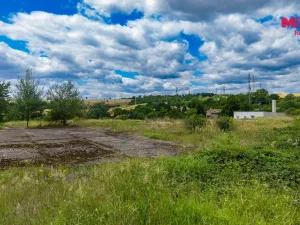 Prodej komerčního pozemku, Rtyně nad Bílinou - Malhostice, 14645 m2