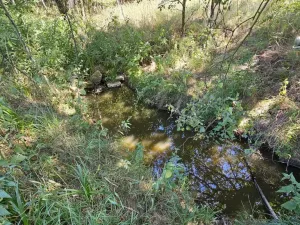Prodej pozemku pro bydlení, Nová Cerekev - Chmelná, 982 m2