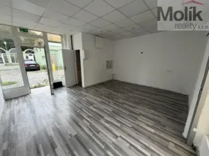 Pronájem obchodního prostoru, Most, Víta Nejedlého, 29 m2