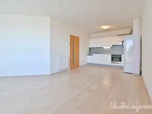 Pronájem bytu 1+kk, Brno, Bělohorská, 38 m2