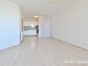 Pronájem bytu 1+kk, Brno, Bělohorská, 38 m2