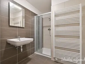 Pronájem bytu 1+kk, Brno, Bělohorská, 38 m2