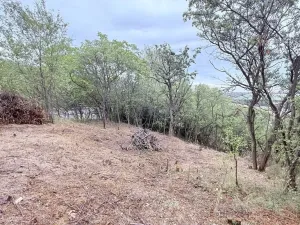 Prodej zahrady, Brandýsek, 464 m2